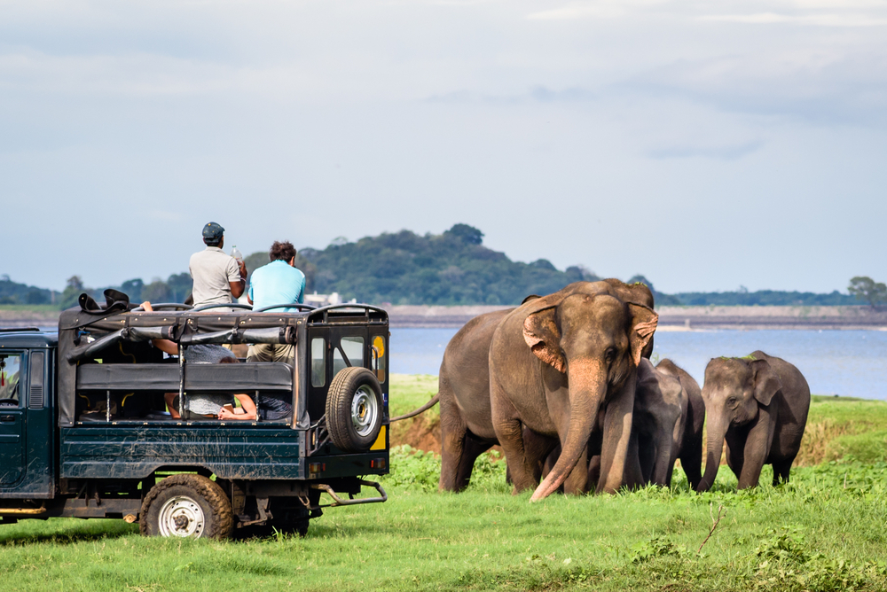 Gallery 2 - Sri Lanka Holidays And Travels