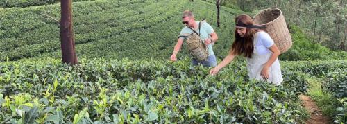 6-days-sri-lanka-tour-package-exoticislandtours