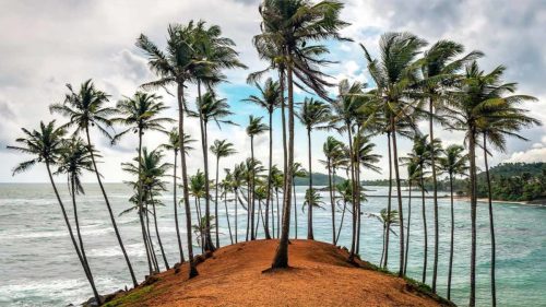 Famous Coconut Tree Hill overlooking the Indian Ocean in Mirissa
