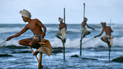 Traditional Sri Lankan stilt fishermen perched on poles in the ocean at sunset